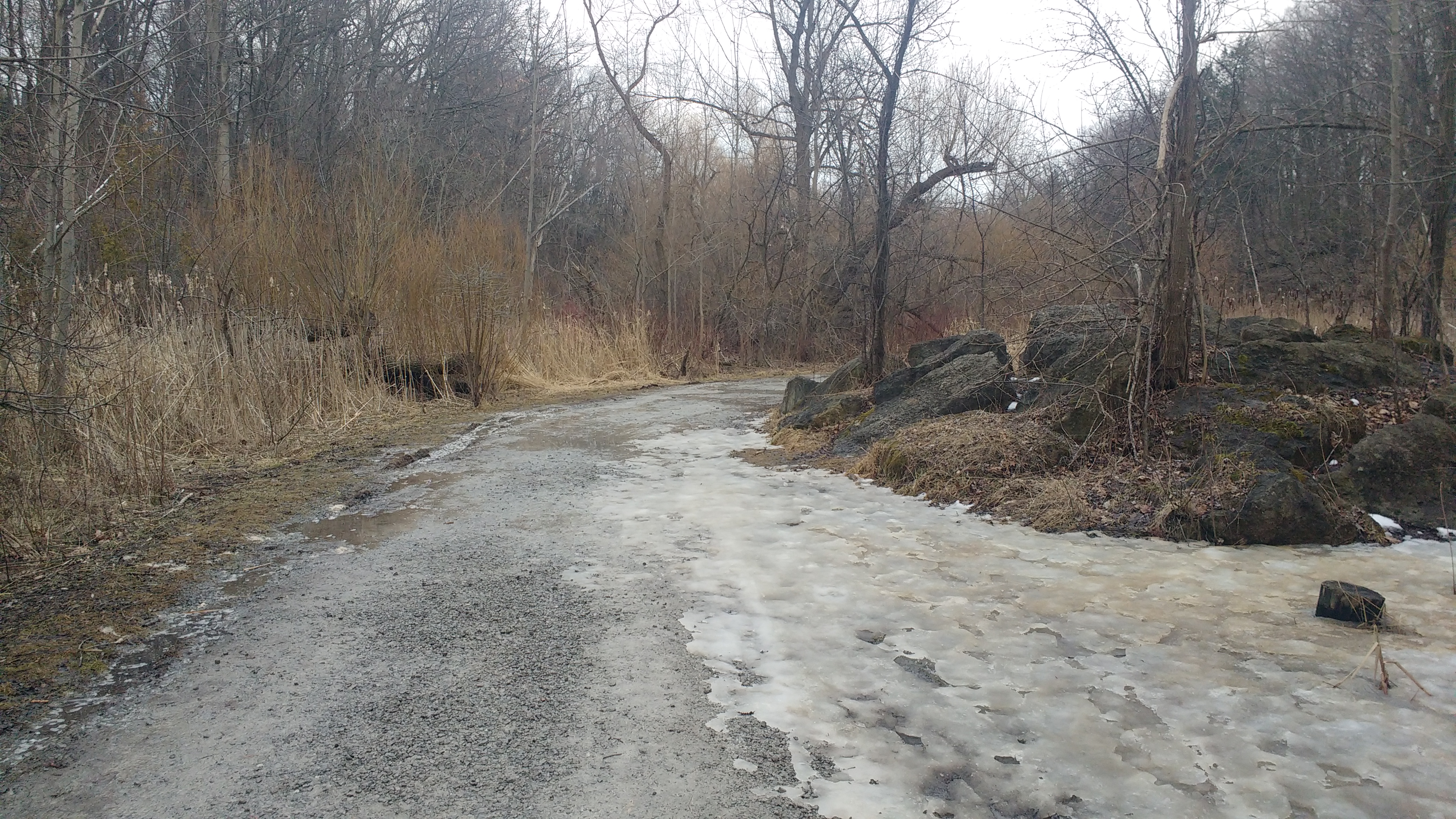 Picture Taken: HDR was off